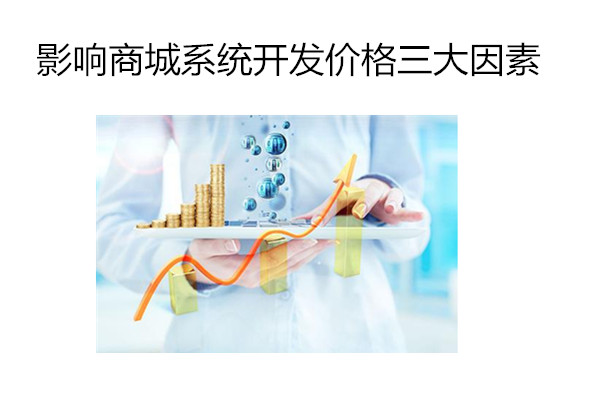 影响商城系统开发价格因素.jpg